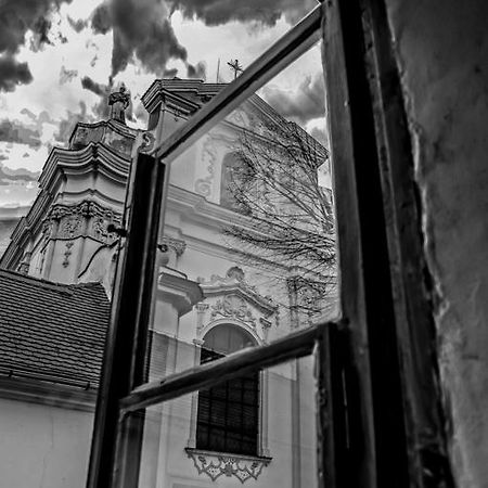 Penzion U Borovicku Litoměřice المظهر الخارجي الصورة