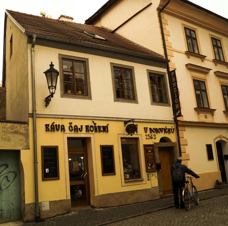 Penzion U Borovicku Litoměřice المظهر الخارجي الصورة