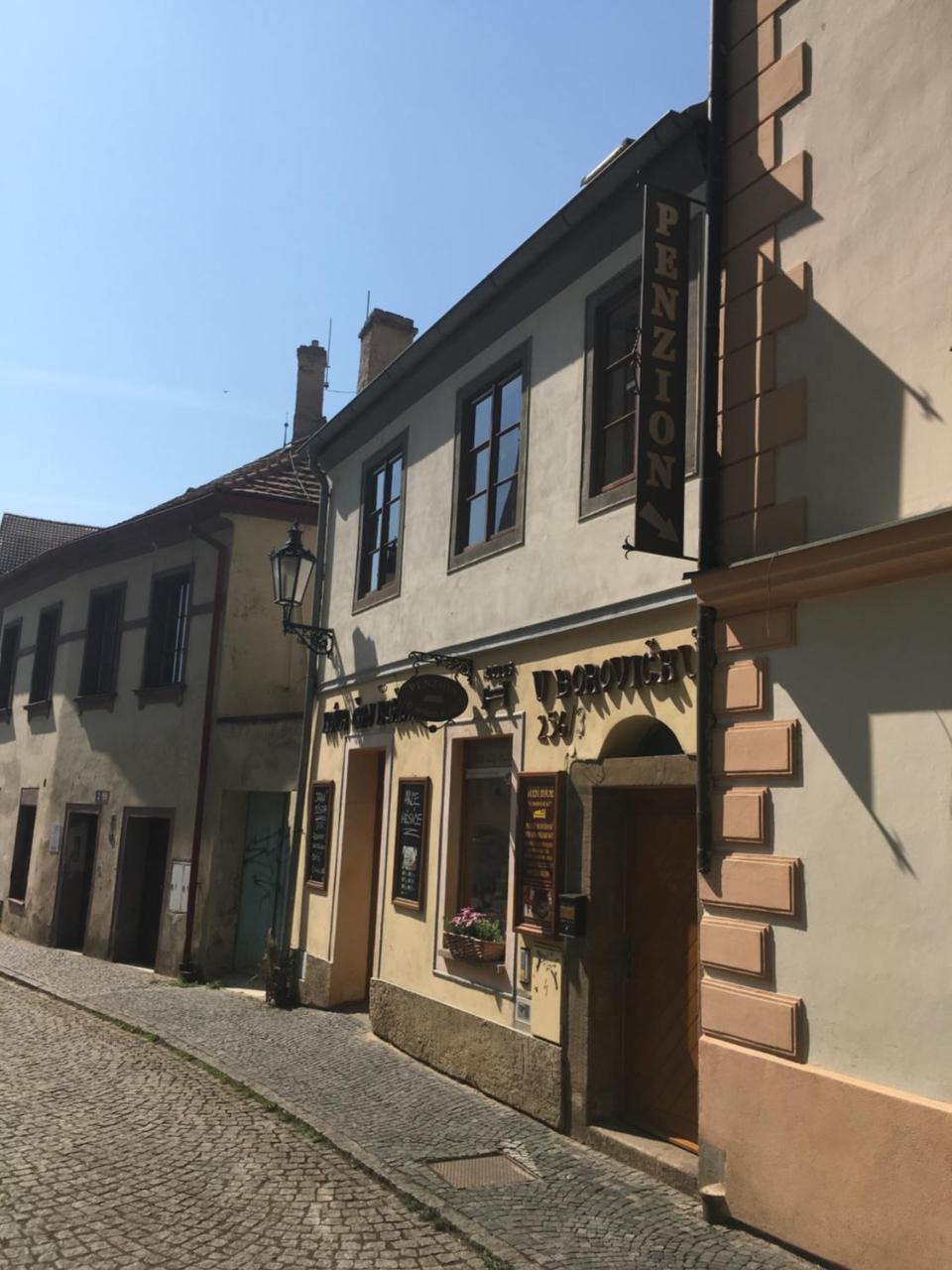 Penzion U Borovicku Litoměřice المظهر الخارجي الصورة